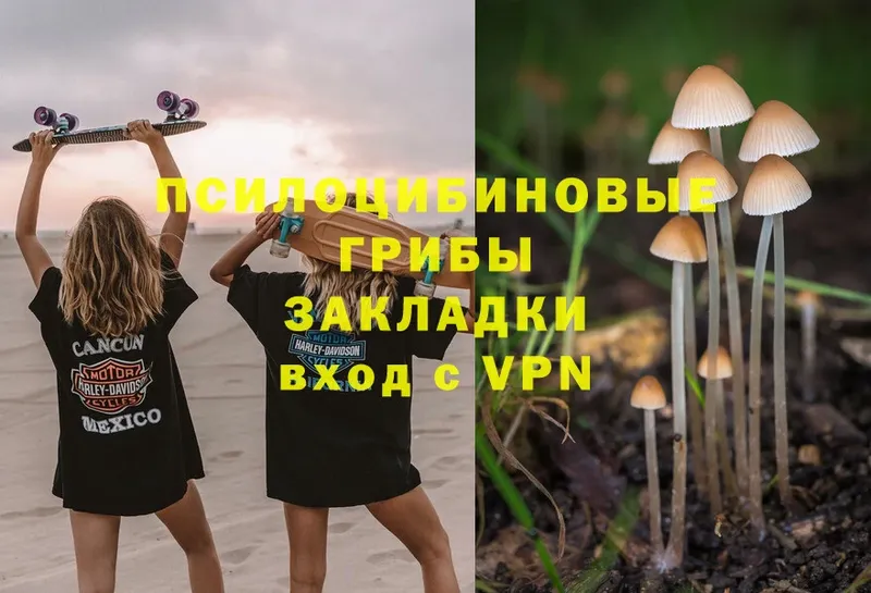 Галлюциногенные грибы MAGIC MUSHROOMS  даркнет формула  Балтийск 